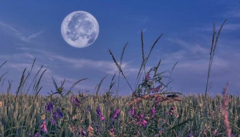  Superluna de flores y luna llena de sangre, cómo ver estos fenómenos lunares en mayo 
