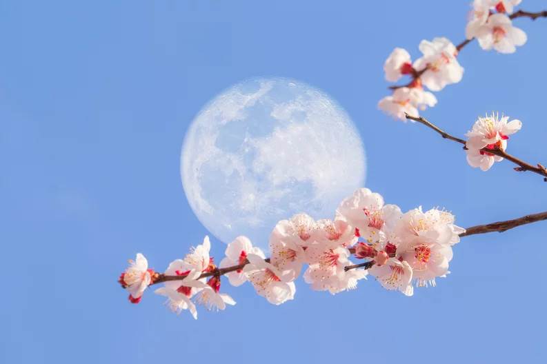 Mayo nos asombrará con una Luna de sangre: cuándo y cómo verla 