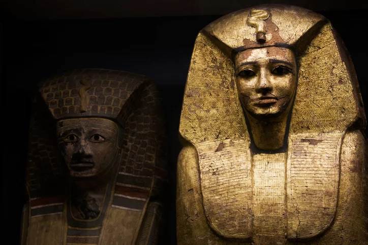  El castigo para las personas que lastimaban gatos en Egipto: hasta el ejército temía herirlos 