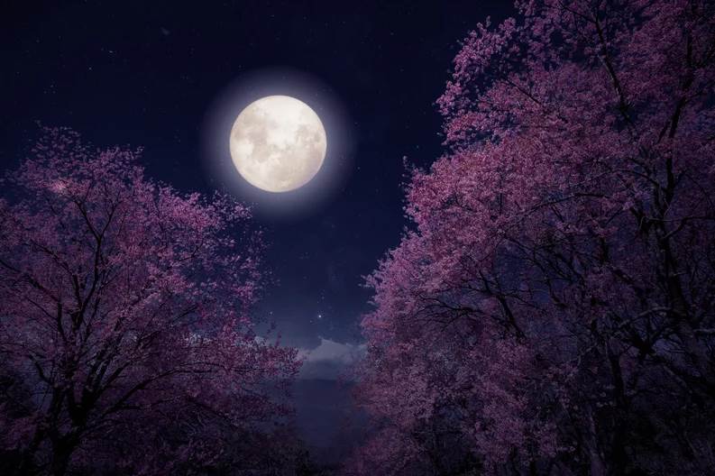  Mayo nos asombrará con una Luna de sangre: cuándo y cómo verla 