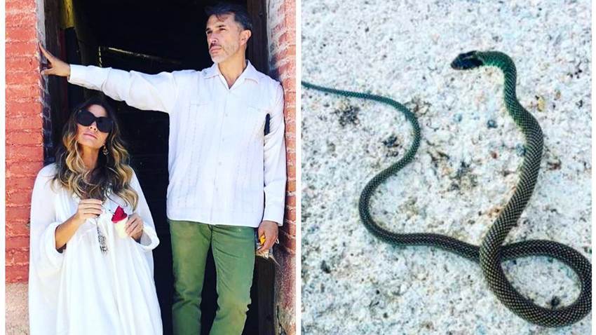 Sergio Mayer e Issabela Camil protagonizan un encuentro con una víbora y ¡mordió a uno de ellos!