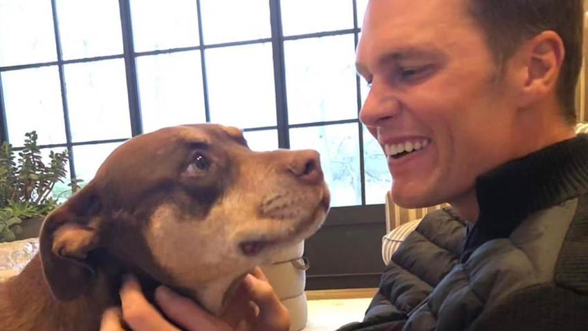 Tom Brady revela que su perro Junie es un clon de Lua, su mascota que murió hace dos años