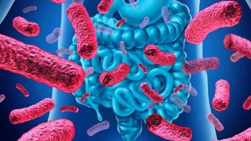 Pacientes con artritis que responden al tratamiento muestran diferencias en el microbioma intestinal