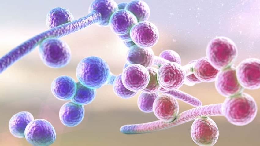 Las tres razones por las que la candidiasis vaginal es más frecuente durante el verano