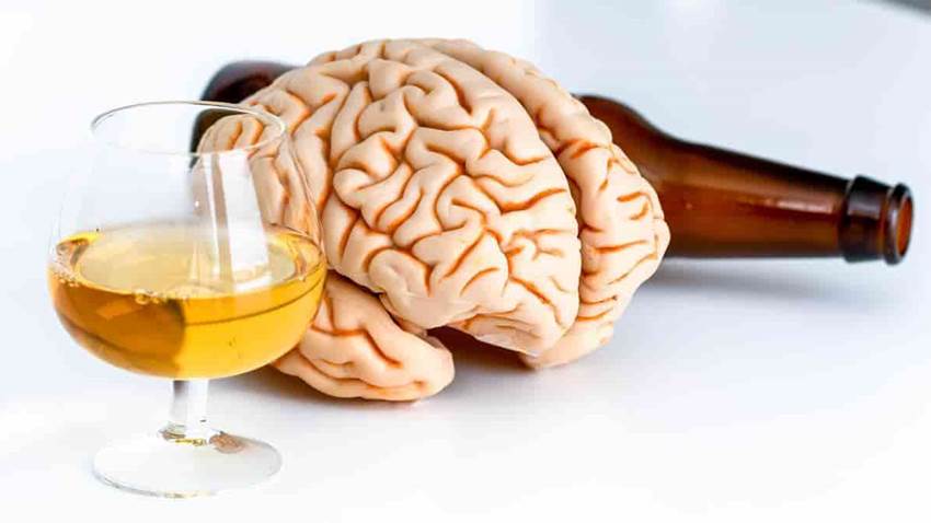 Según estudio, ningún nivel de alcohol es seguro para el cerebro