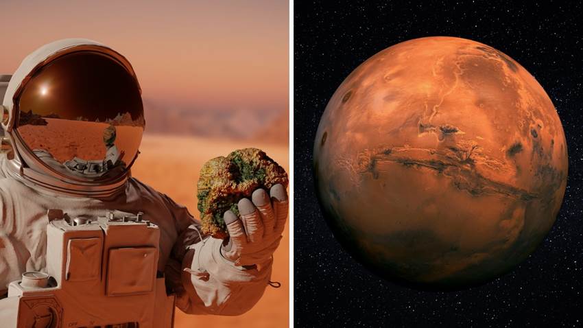 Científicos tienen un plan para construir en Marte: incluye sangre y orina de astronautas