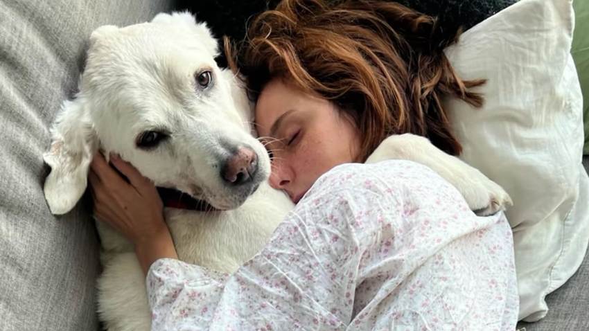 Natalia Téllez se despide de su amado perrito Güero con un emotivo mensaje: ‘Gracias por elegirme’