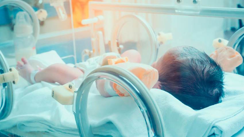 Investigación sugiere que movilidad temprana de neonatos intubados podría ser segura