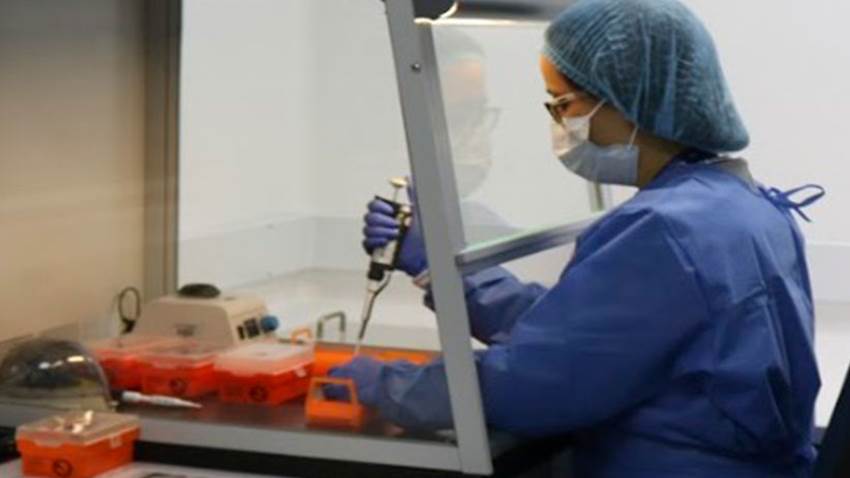 Células mesenquimales son clave para mejorar la calidad de vida de pacientes con enfermedades crónicas