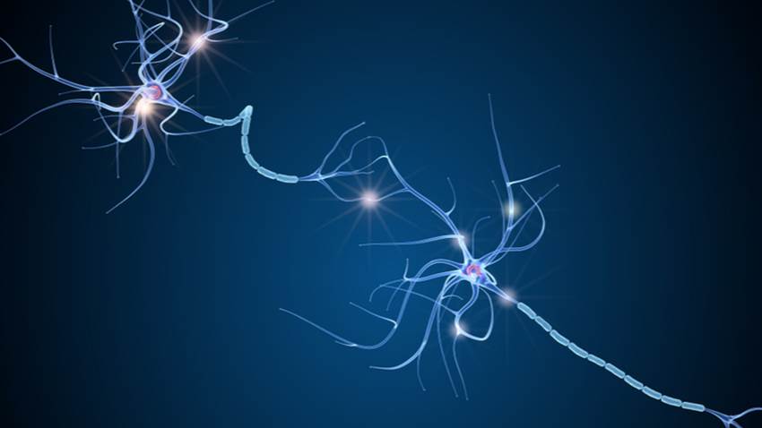 ¿Has escuchado del Síndrome anti-MOG?