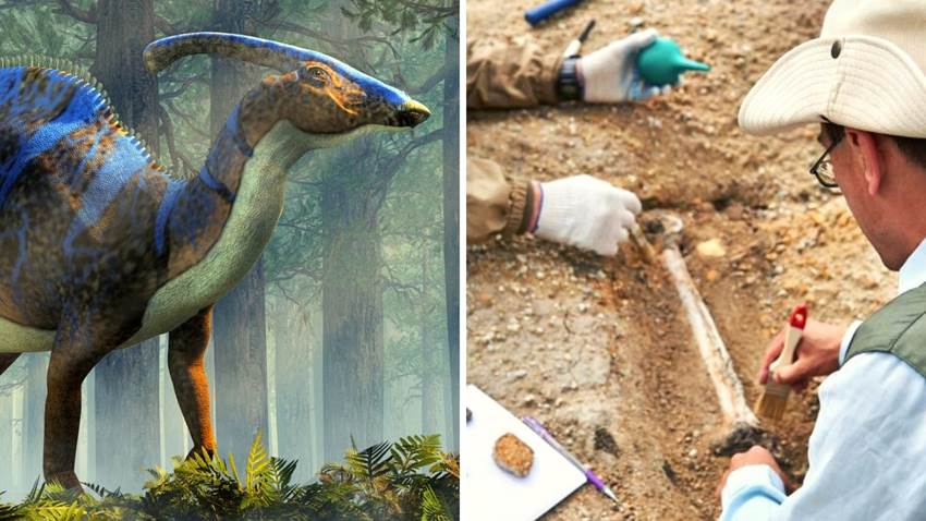 Un nuevo dinosaurio es descubierto en México: era un reptil muy 'platicador'