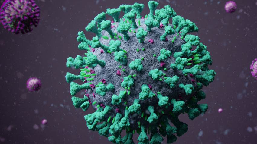 COVID-19: ¿realmente el virus ha mutado 10 veces?