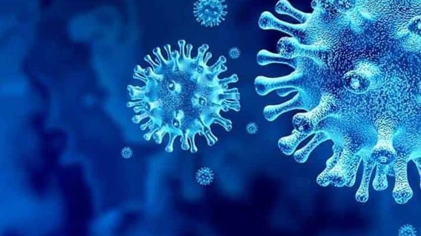 Anticuerpos generados tras la infección por COVID-19 pueden mantenerse por más de un año, según estudio