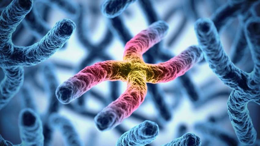 Conoce la relación entre nuestros genes y la percepción de nuestra felicidad