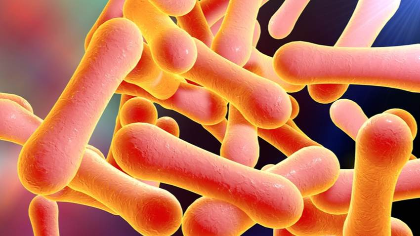 Hallazgo de nuevo caso de difteria, condición que se creía erradicada