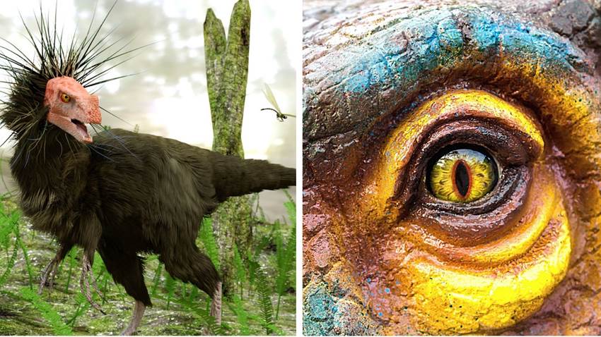 Los dinosaurios tenían plumas y por fin sabemos cómo se veían en realidad: míralos
