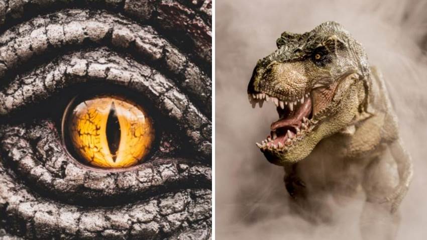 7 dinosaurios más poderosos que el T-Rex, ¿quién era el verdadero rey de la prehistoria?