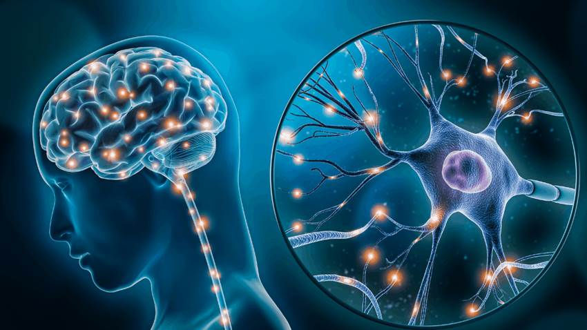 El cerebro detecta más rápido la ira que alegría