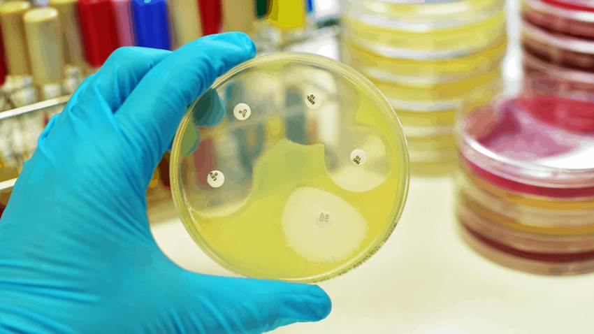 Presencia de mercurio en alimentos reduce la eficacia de los antibióticos