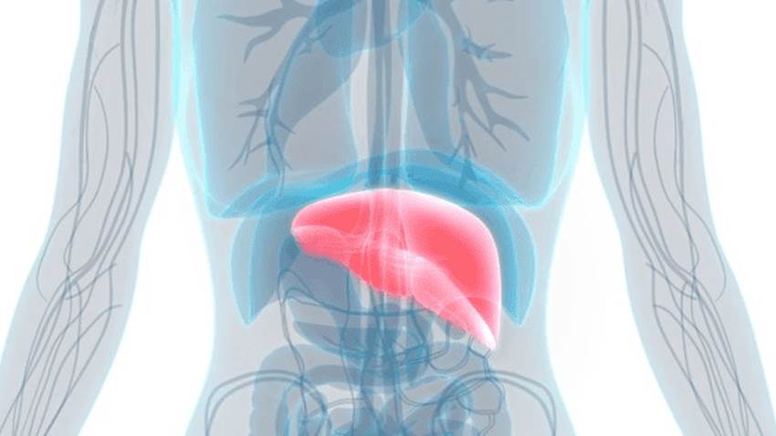 Pacientes con diabetes tipo 2 presentarían cambios hepáticos asintomáticos
