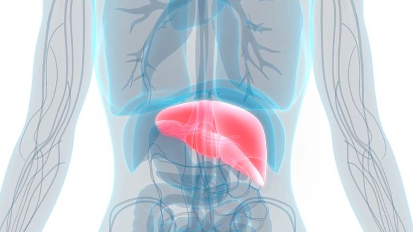 La enfermedad del hígado graso no alcohólico: Ocho nuevas recomendaciones para tratarlo