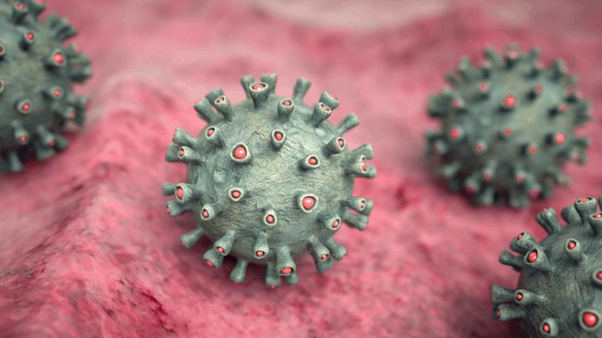 OMS emite alerta ante primer caso de virus Marburgo en África: Debemos detenerlo en seco