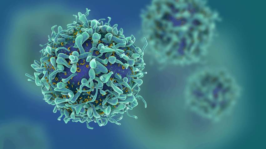 Células en 3D: la fórmula para conocer y tratar el cáncer