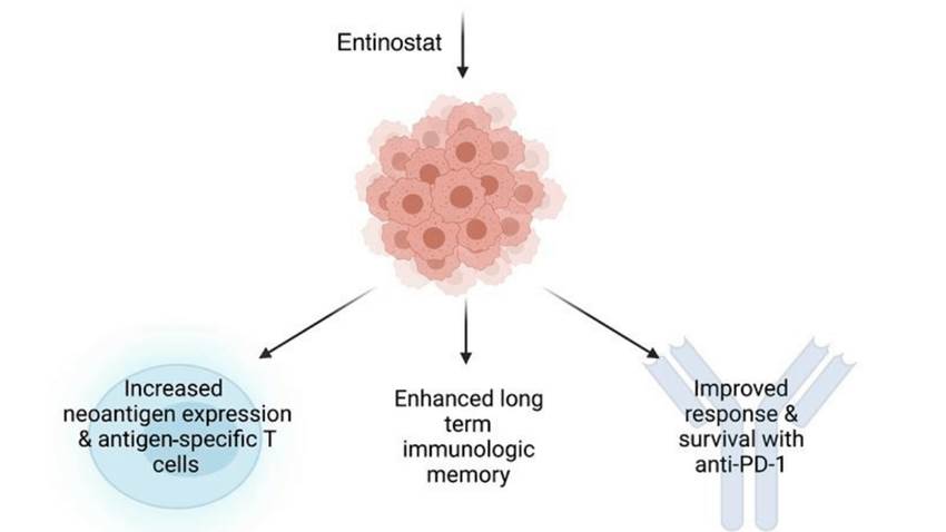 Comprueban beneficio de inhibidor combinado con inmunoterapia para tratar el cáncer de vejiga