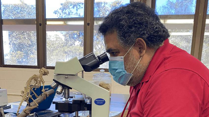 Estudio comprueba efecto adverso de los pesticidas en animales que causan daño a los humanos