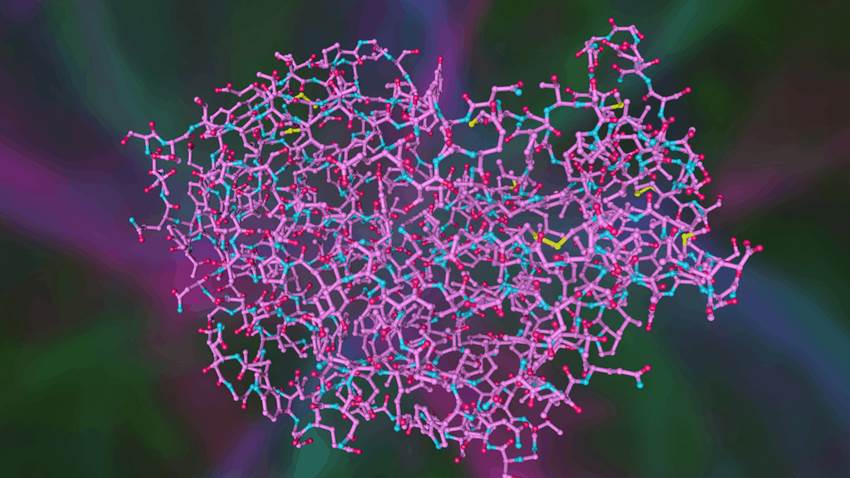 Péptidos involucrados en la migraña podrían ayudar a prevenir la diabetes