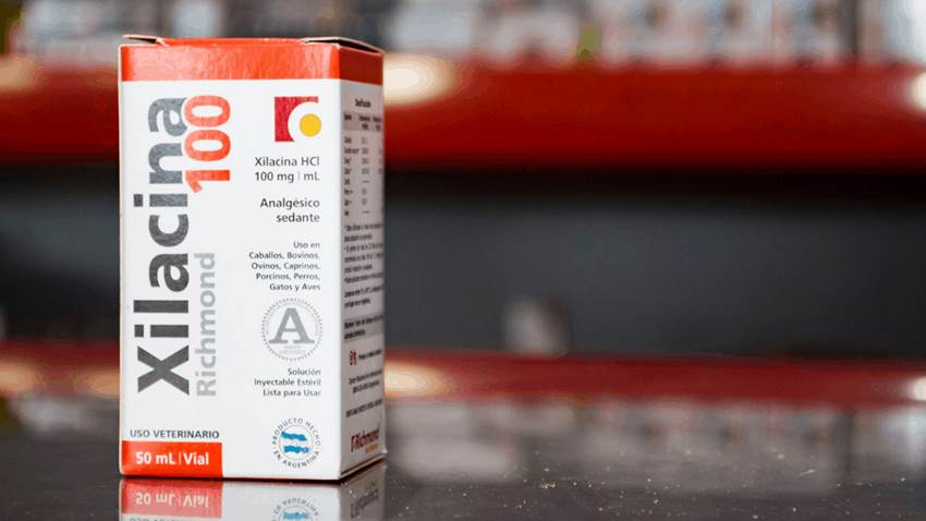 Científicos estudiarán si la droga Xilacina pudiera causar euforia en modelos experimentales