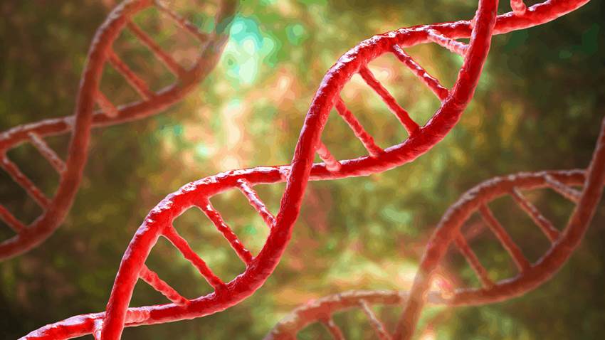 Síndrome de Turner: La rara enfermedad genética que afecta a las mujeres