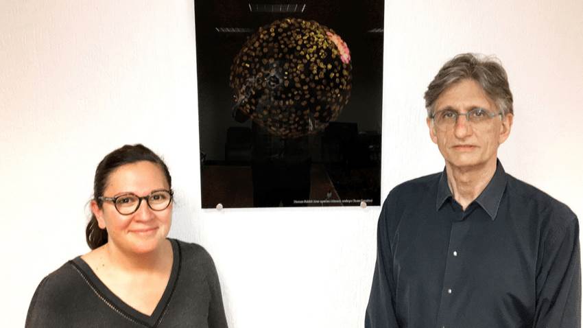 Científicos españoles crean en China 132 embriones con mezcla de mono y humano