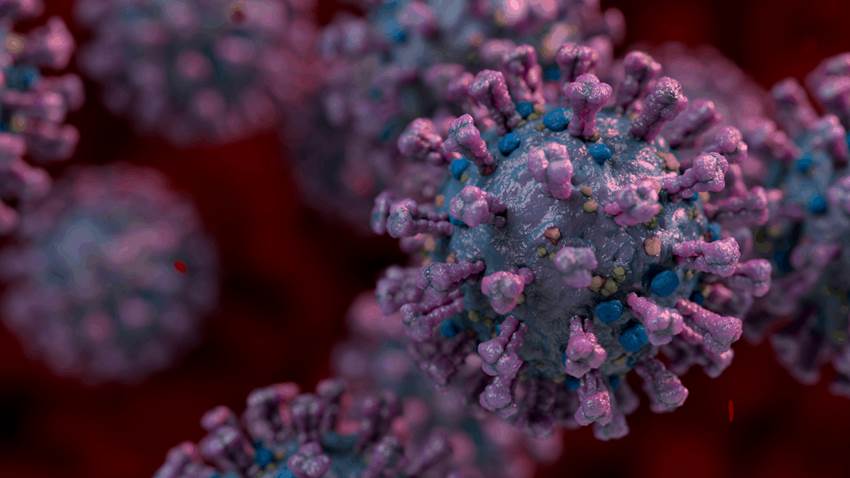 Identifican moléculas que frenan la entrada del coronavirus en las células