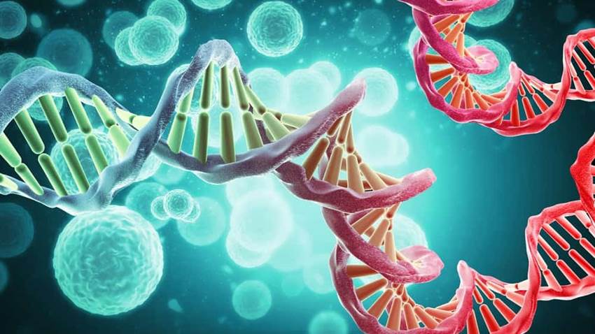 Primer caso de aneuploidía por mutaciones bialélicas en sobreviviente de 12 tipos de cáncer