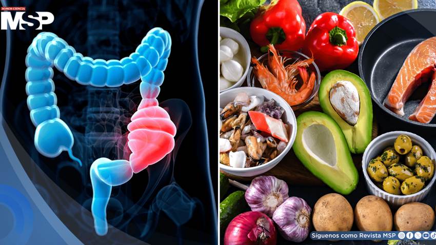 ¿Estreñimiento crónico? Dieta mediterránea y basadas en plantas muestran efecto protector, según estudio