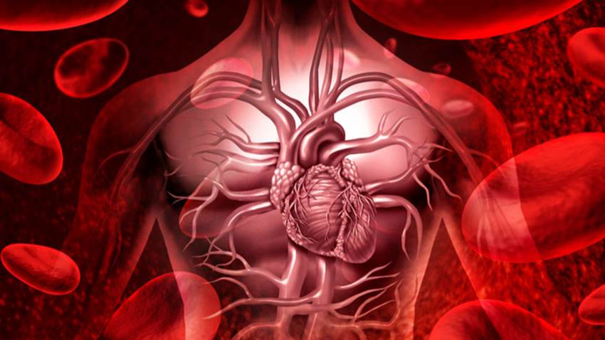 Diferencias entre el síndrome coronario agudo y la enfermedad coronaria