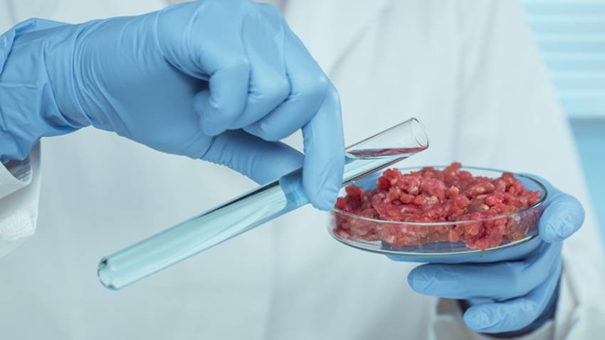 Abrió la primera fábrica de carne cultivada en laboratorio: ¿te atreverías a probarla?