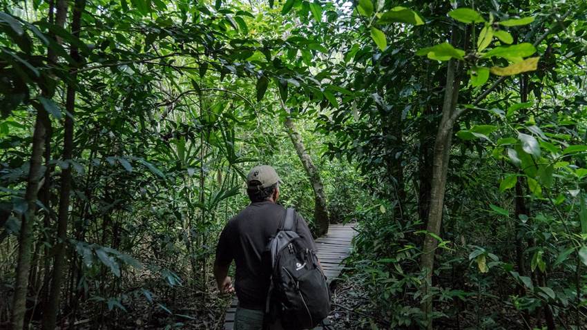 Sheinbaum, Arévalo y Briceño firman un “acuerdo histórico” para proteger 5,7 millones de hectáreas de la selva maya