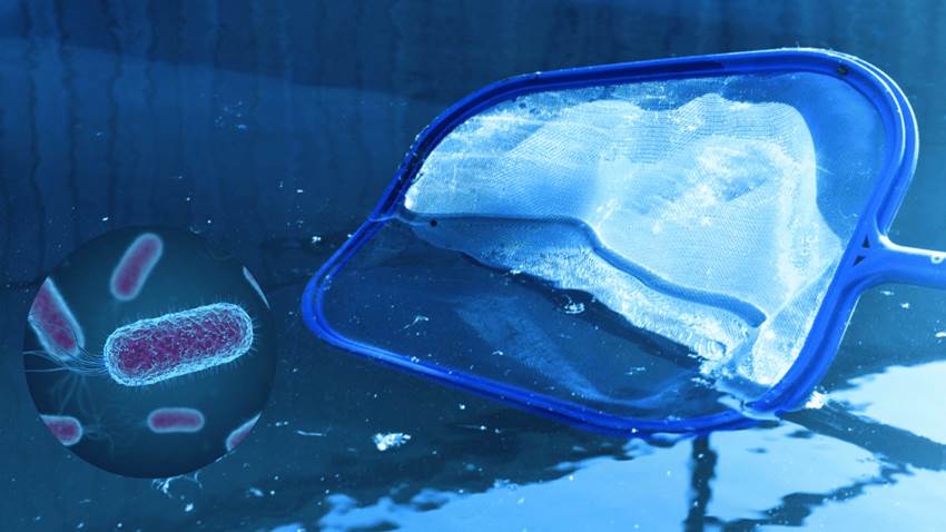 Departamento de Salud de Puerto Rico emite alerta por presencia de bacterias en piscinas