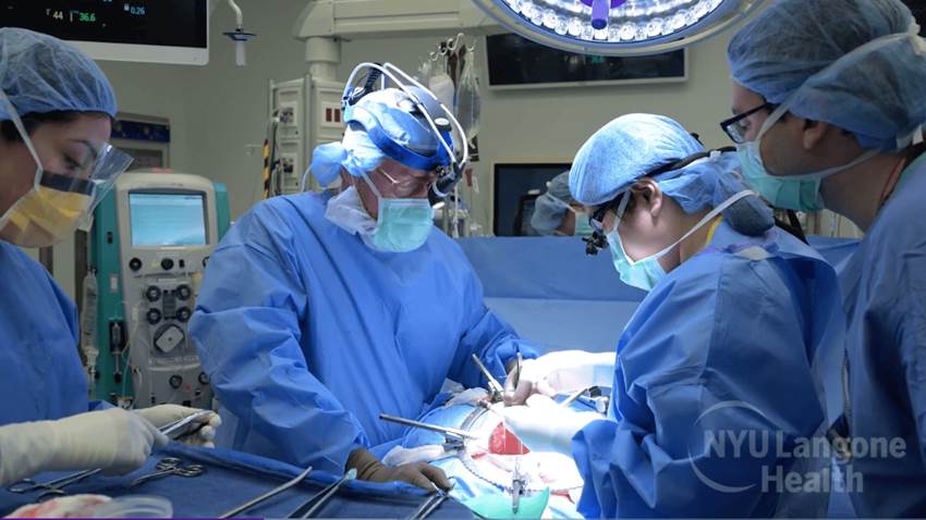 ¡Inédito! Implantan riñón y timo de cerdo junto con bomba cardíaca en mujer con enfermedad terminal
