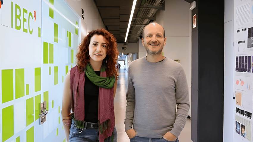 Investigación revela cómo influye la física de las células del cáncer colorrectal en la metástasis