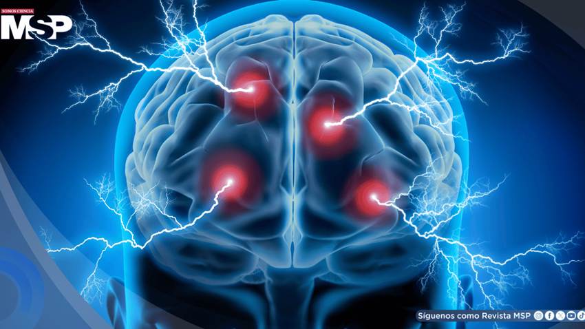 La fragmentación del sueño altera la estructura cerebral, especialmente en mujeres, según estudio