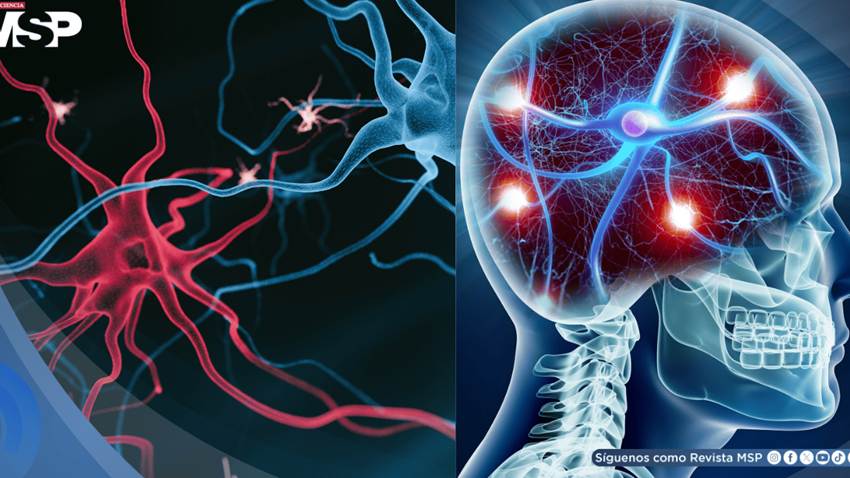 Científicos desarrollan nanocuerpos para tratar los síntomas más resistentes de la esquizofrenia