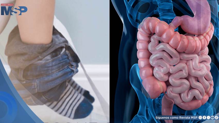 Encopresis: claves para identificar un trastorno del control intestinal en niños. Todo lo que debes saber