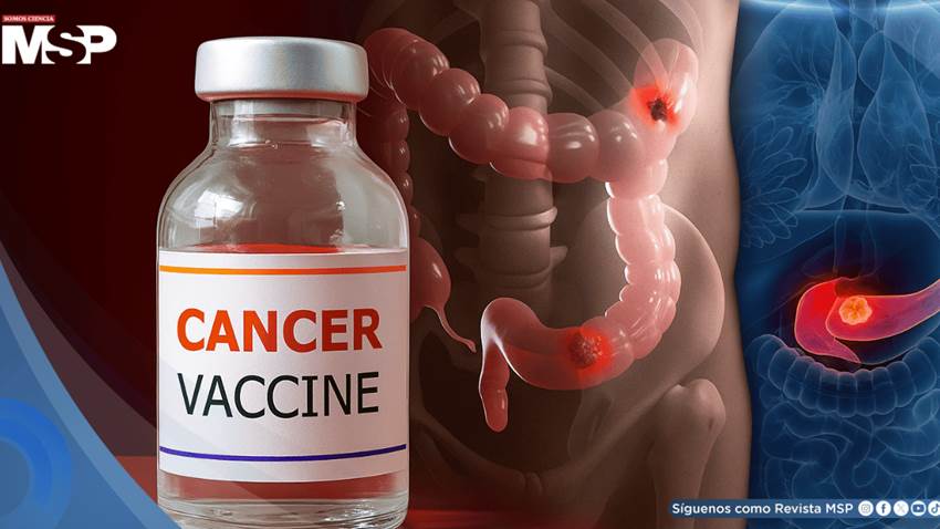Vacuna experimental logra potente respuesta inmune contra mutaciones en cáncer de páncreas y colorrectal