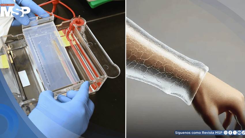 Científicos crean un gel bioimpreso en 3D que promete regenerar piel sin cicatrices