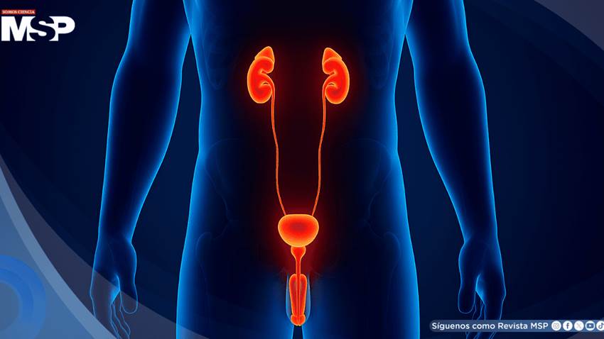 Erecciones nocturnas dolorosas: ¿Por qué ocurren y cuándo buscar ayuda médica?