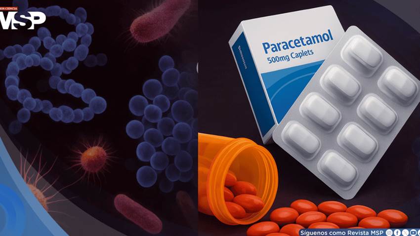 Ibuprofeno y paracetamol podrían favorecer que las bacterias se vuelvan resistentes a los antibióticos