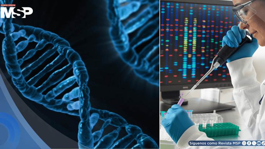 Nuevo algoritmo analiza el ADN y revela cuándo inició el cáncer, crecimiento y necesidad de tratamiento